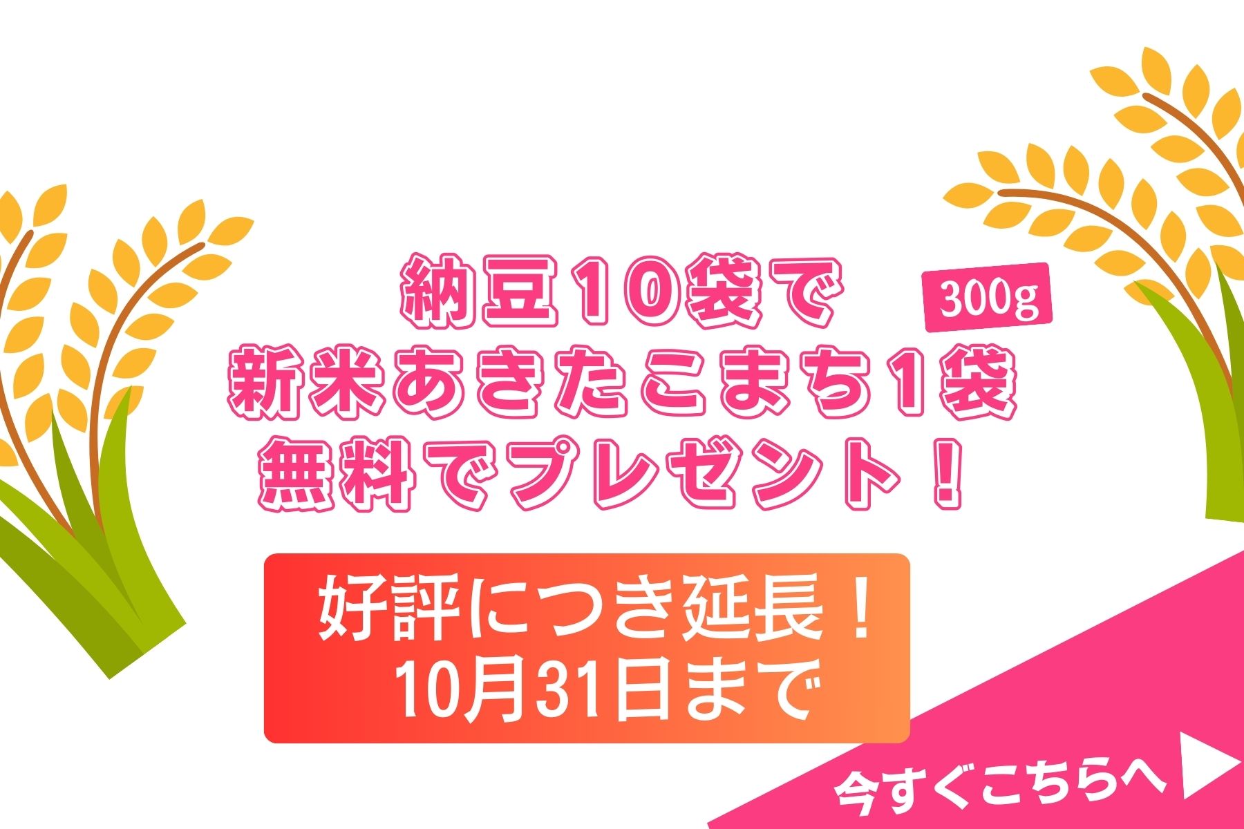 新米あきたこまち無料プレゼントバナー