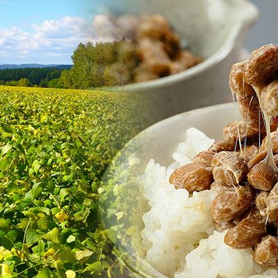 母の日ギフト プレゼント 高級納豆
